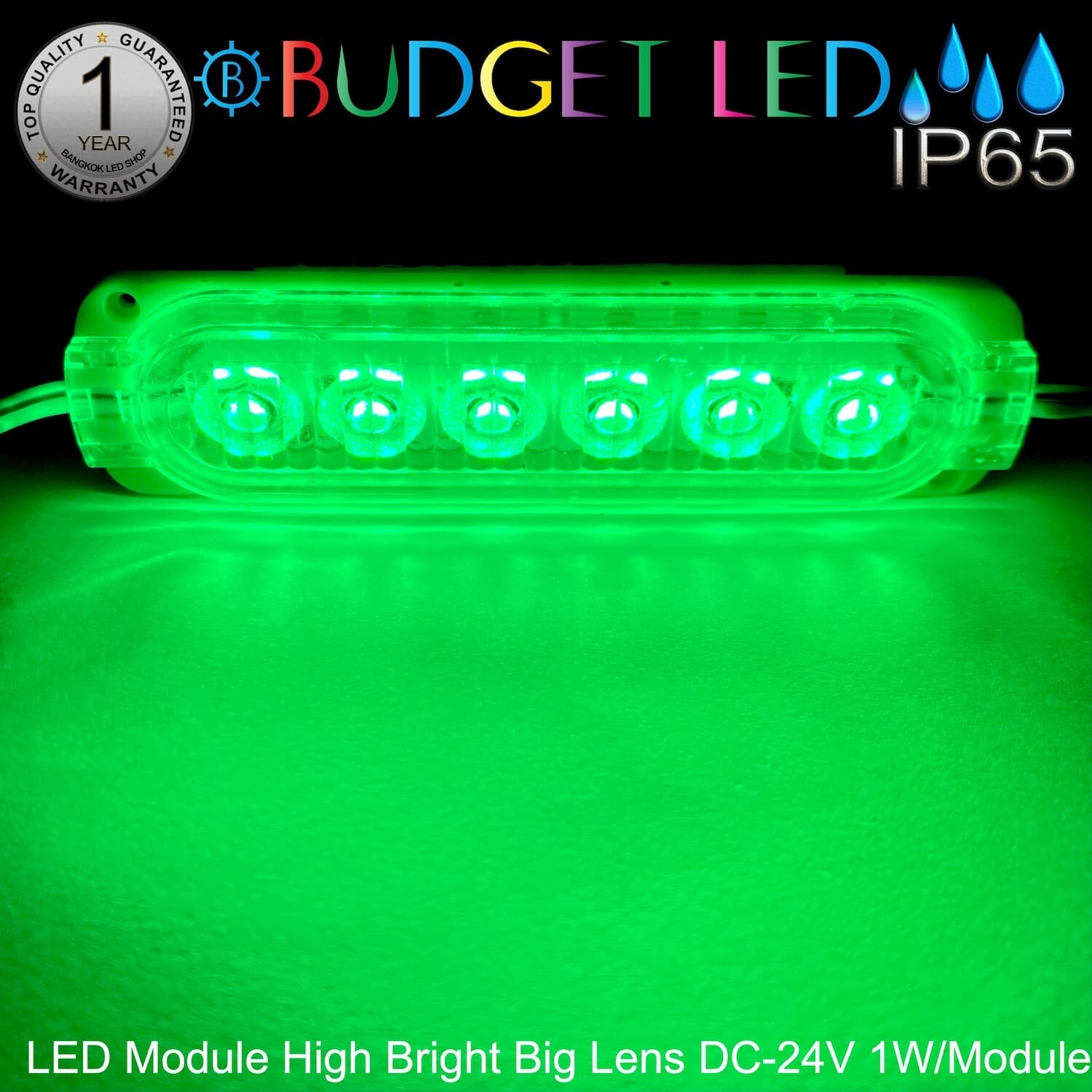 LED Module High Bright Big Lens-6LED 1W 24V Green