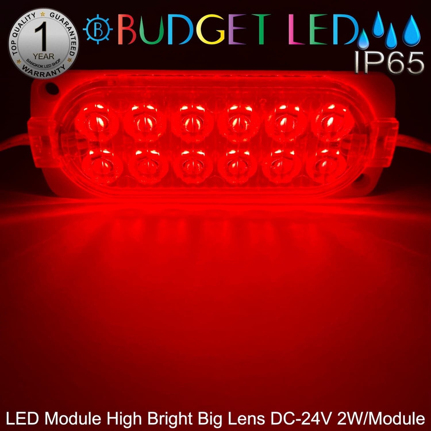 LED Module High Bright Big Lens-12LED 2W 24V Red