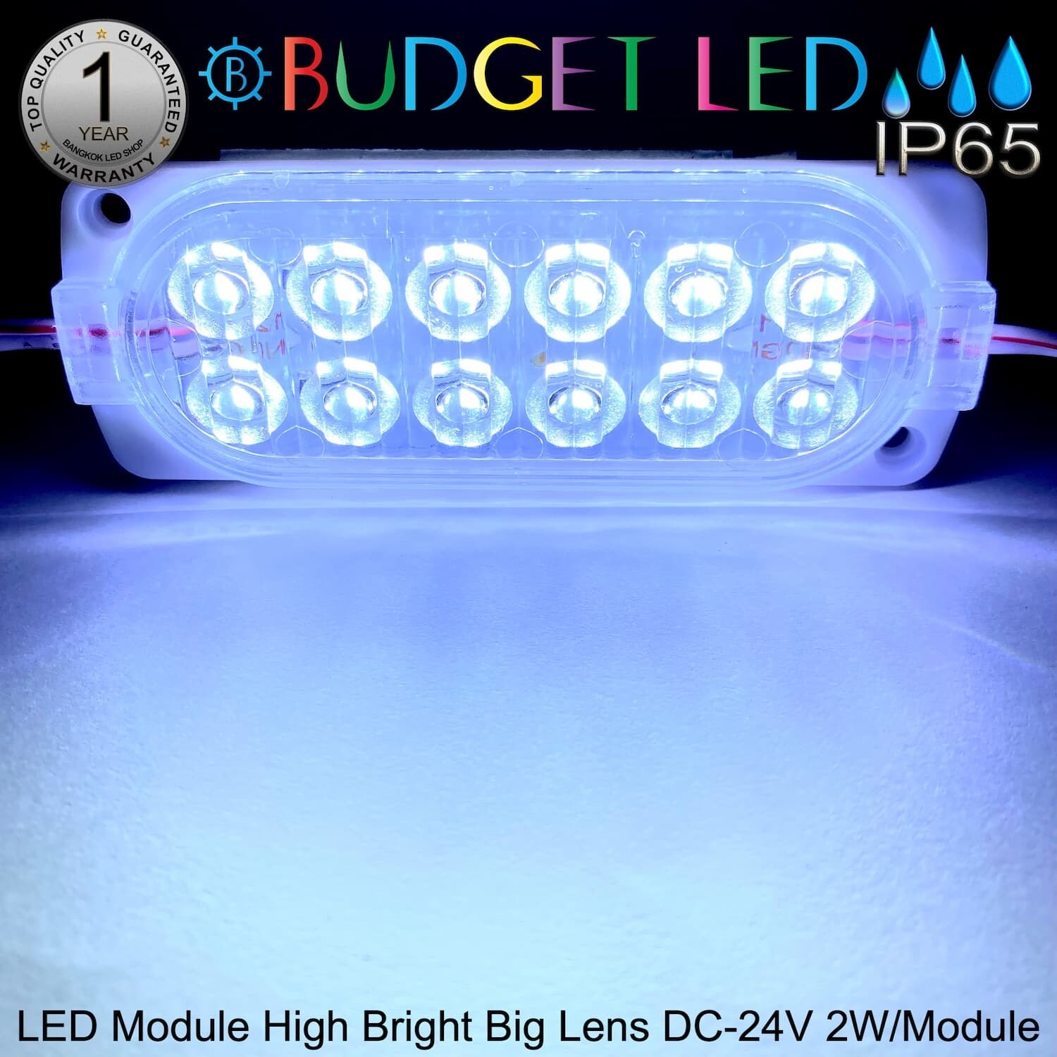 LED Module High Bright Big Lens-12LED 2W 24V White