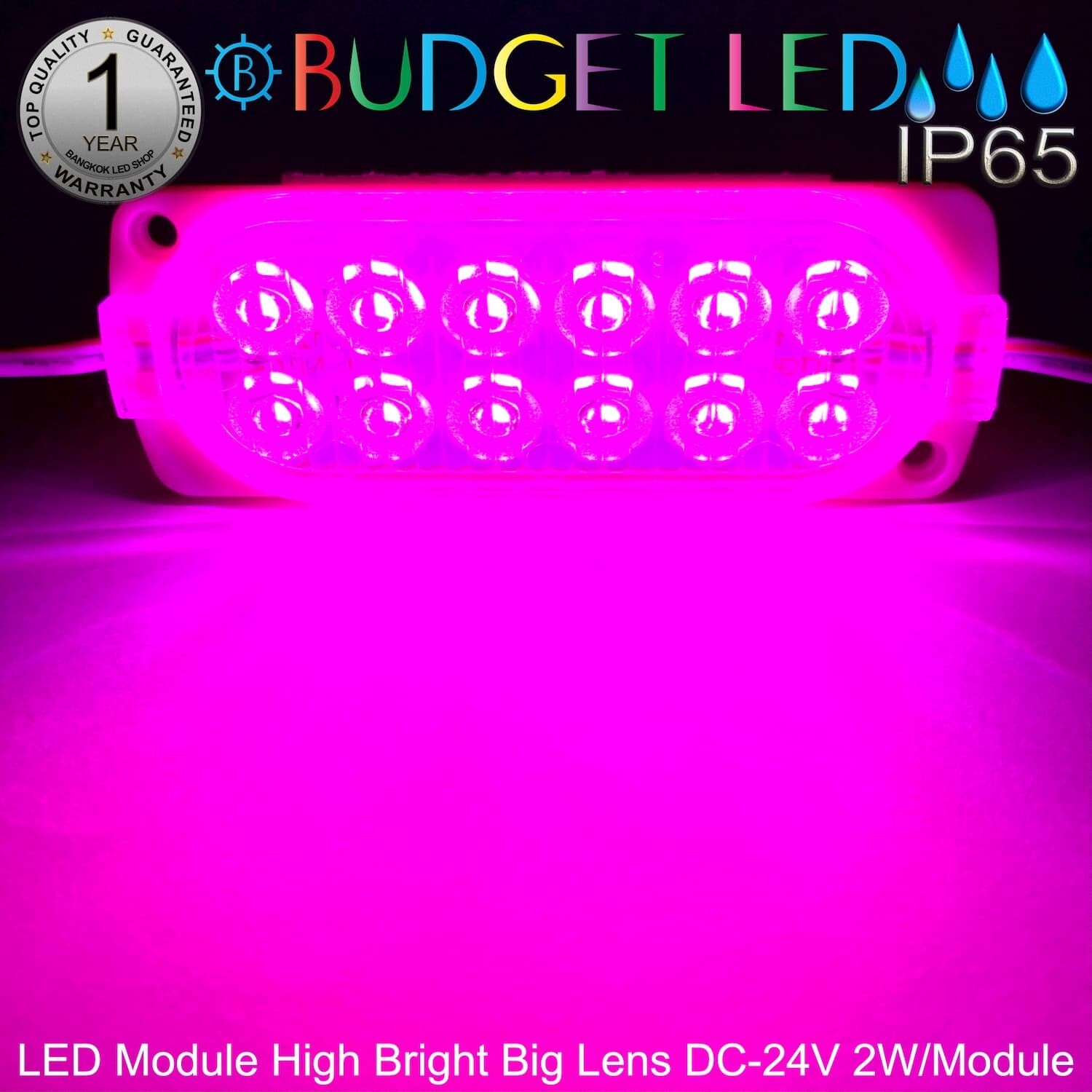 LED Module High Bright Big Lens-12LED 2W 24V Pink