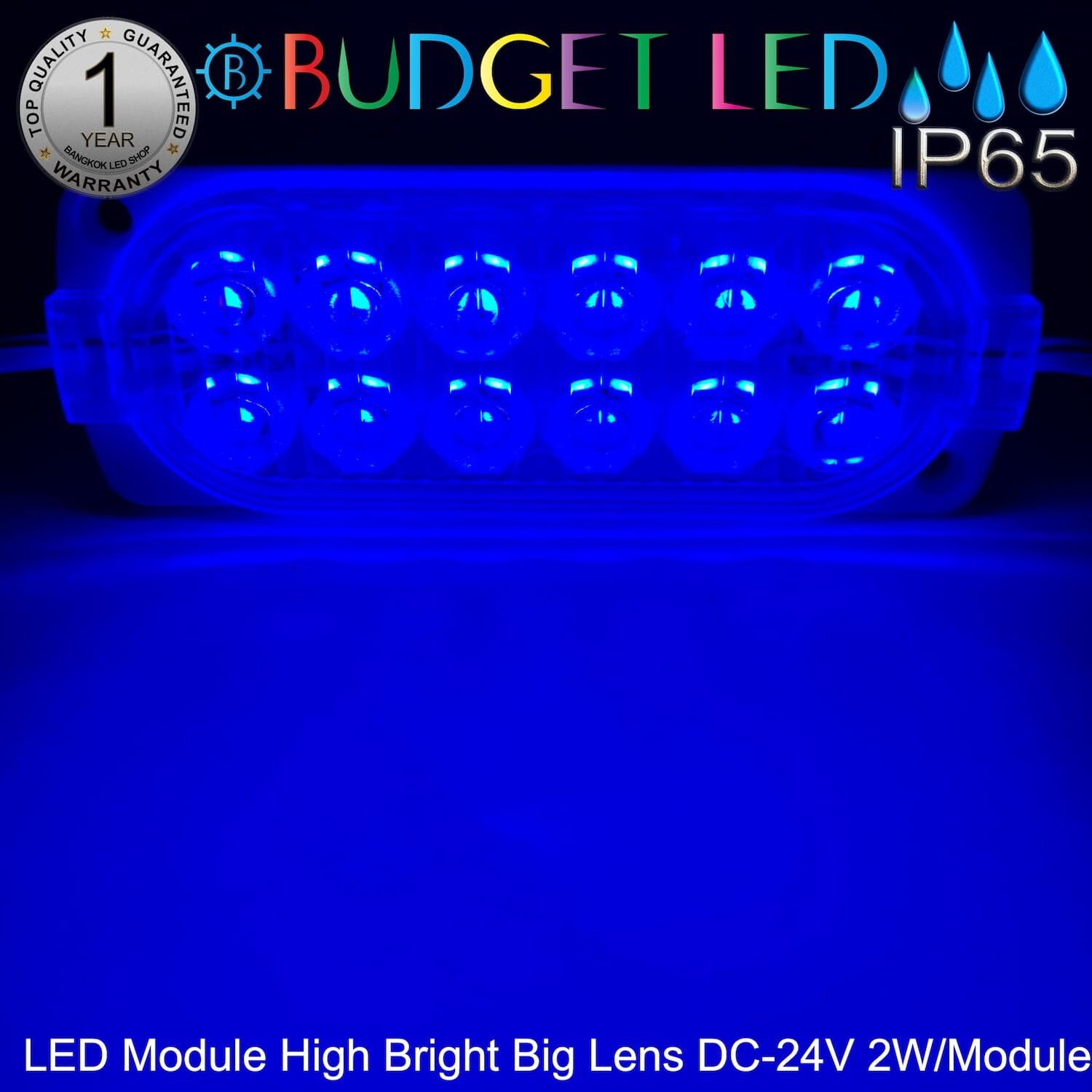 LED Module High Bright Big Lens-12LED 2W 24V Blue
