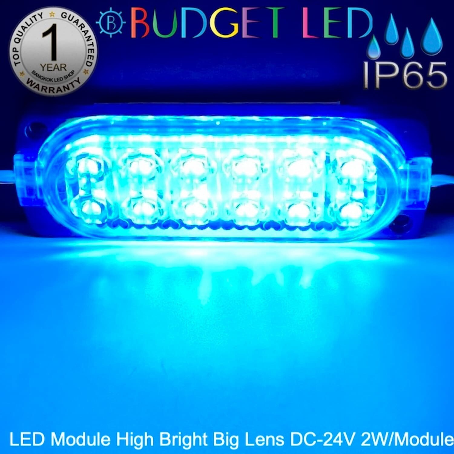 LED ModuleHigh Bright Big Lens-12LED 2W 24V Ice blue