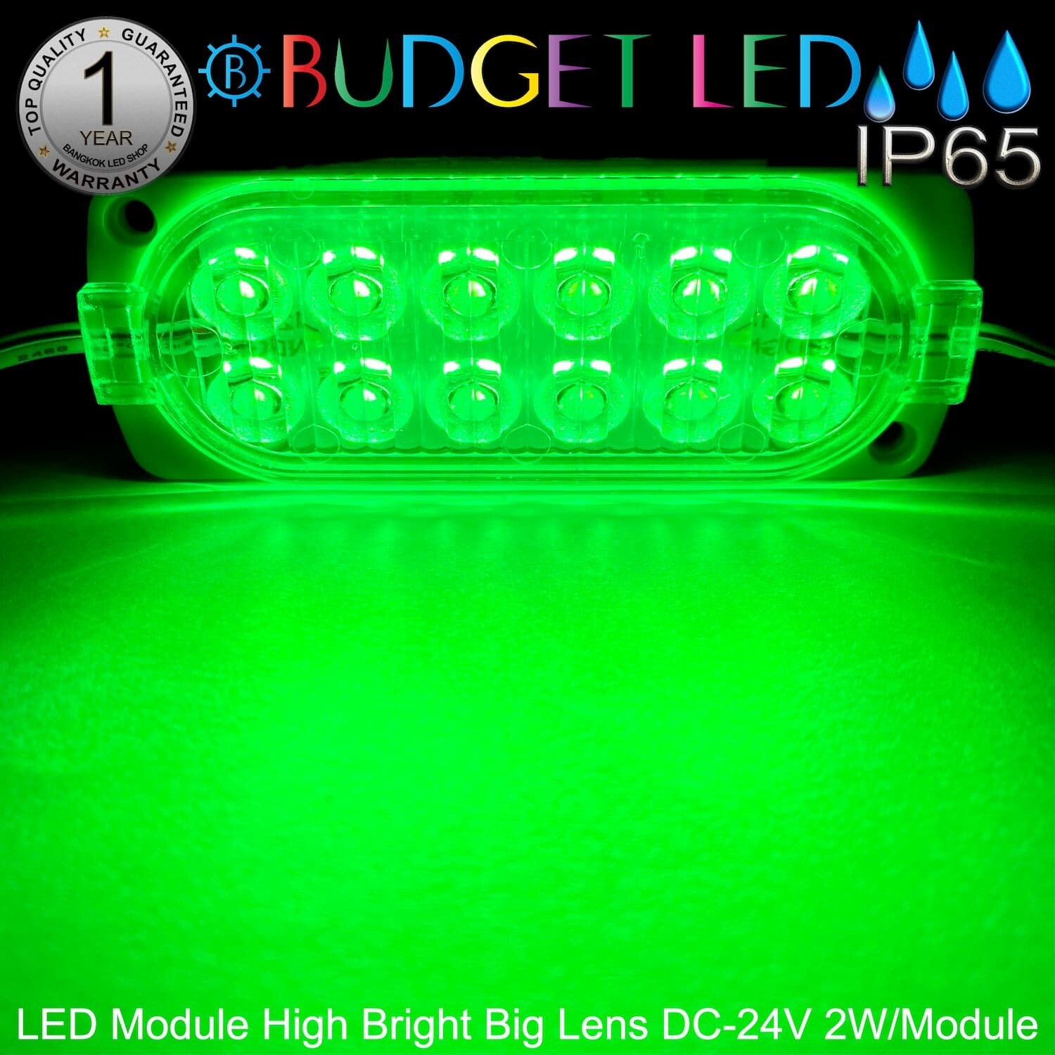 LED Module High Bright Big Lens-12LED 2W 24V Green