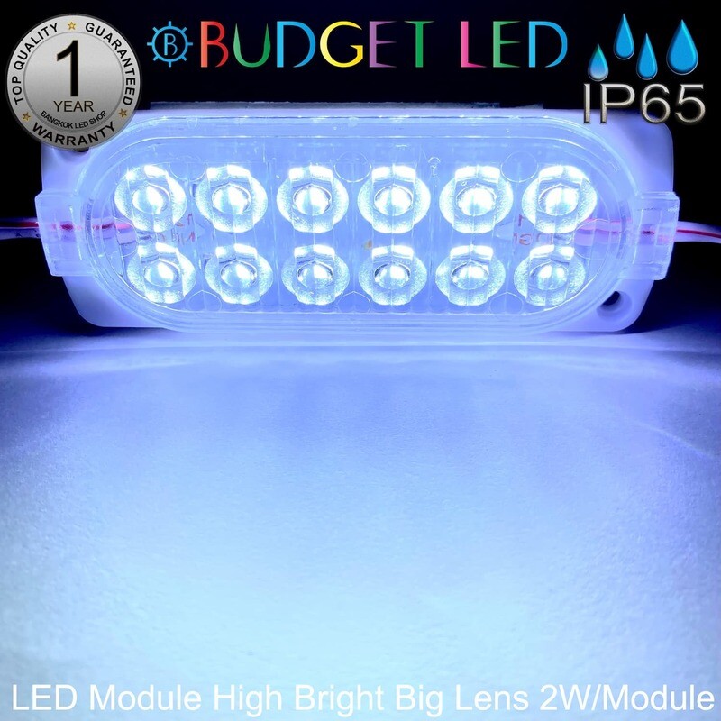 Led Module Big Lens-12LED 2W