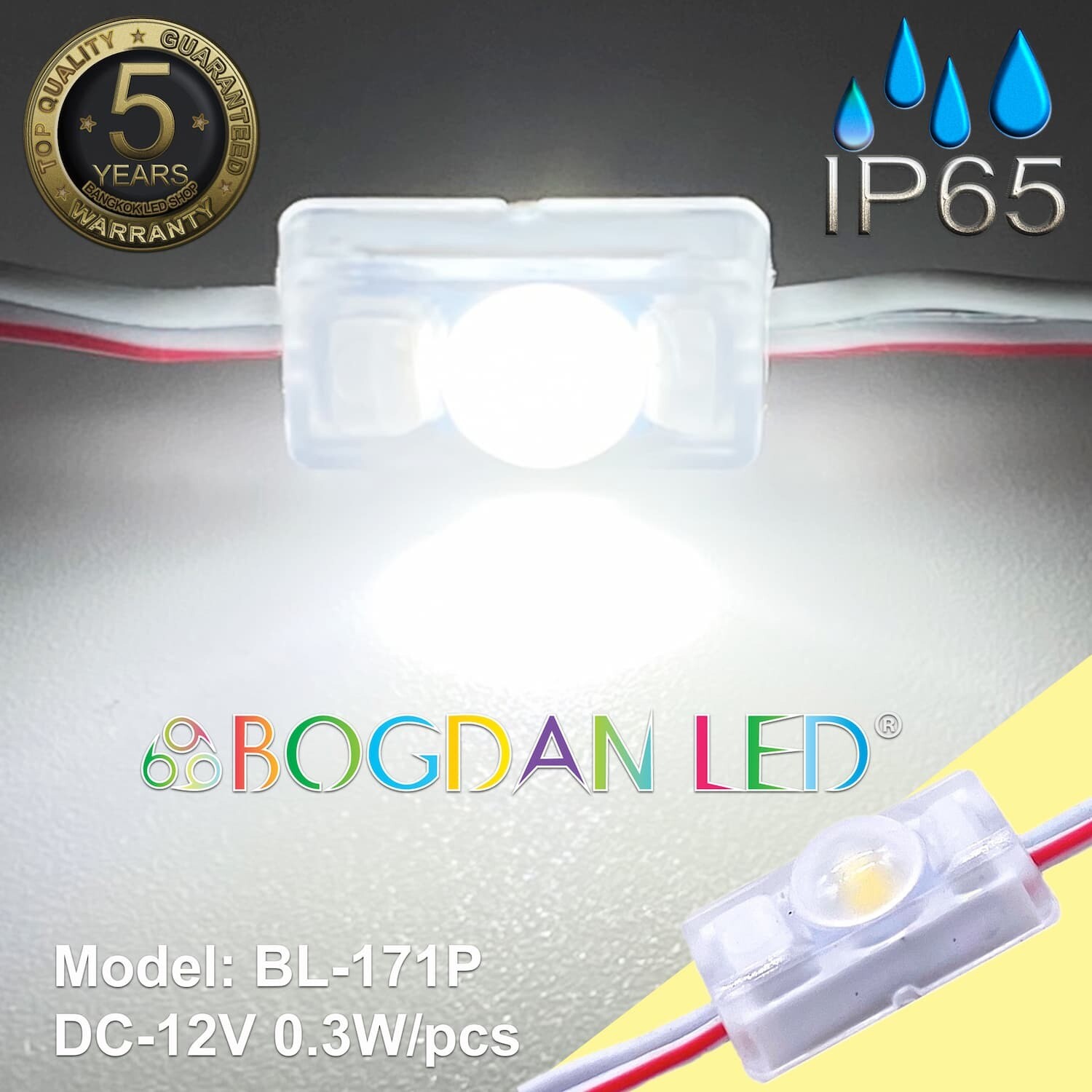 LED MODULE BL 171P-W 6500K Daylight