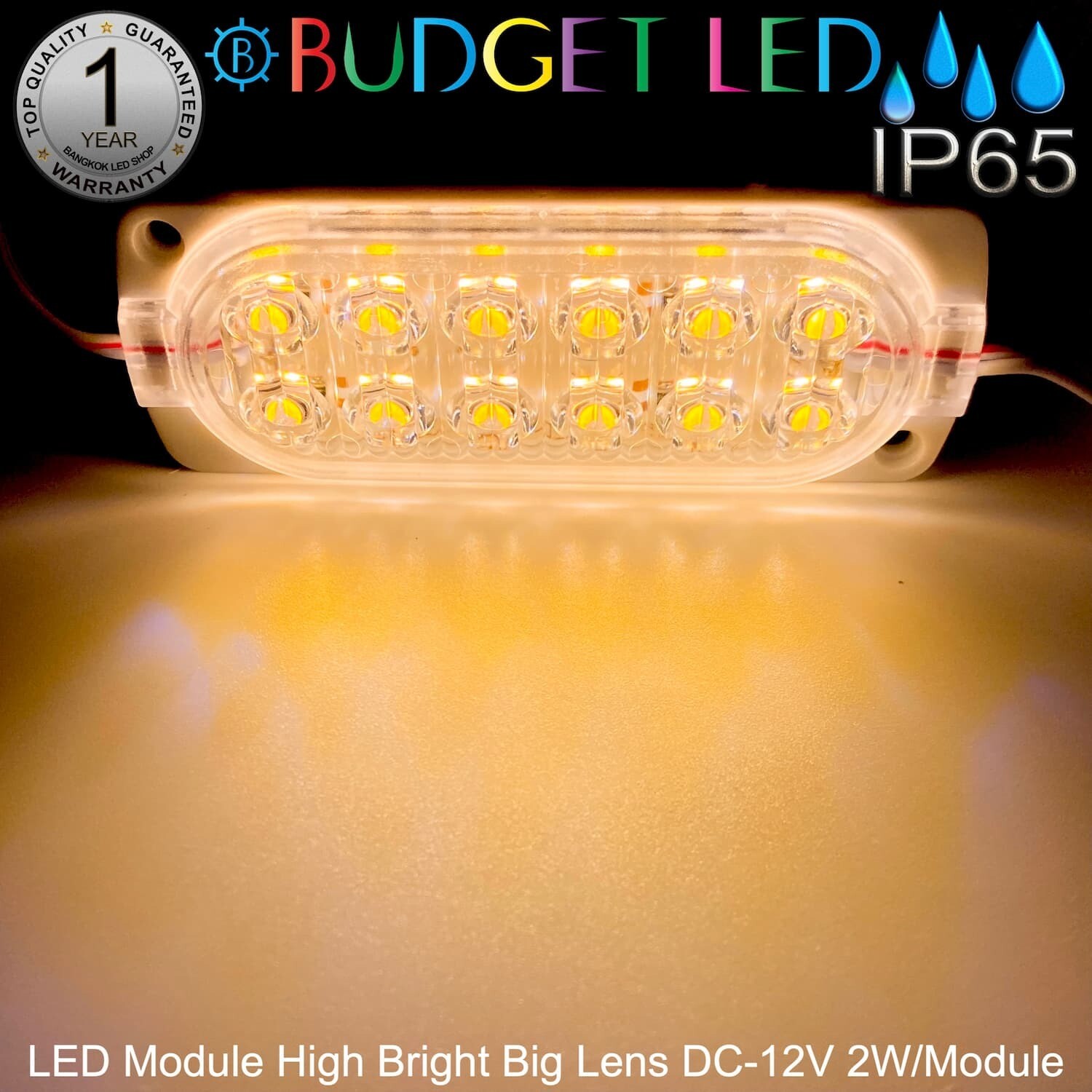 LED Module High Bright Big Lens-12LED 2W 12V  Warm White