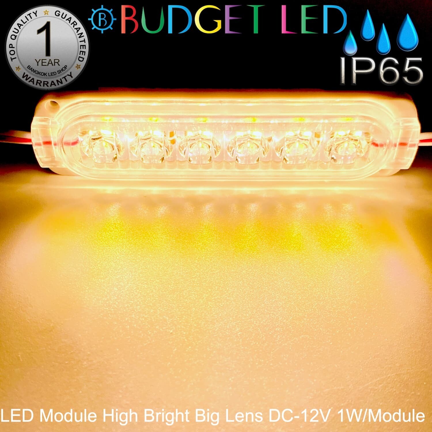 LED Module High Bright Big Lens-6LED 1W 12V Warm White