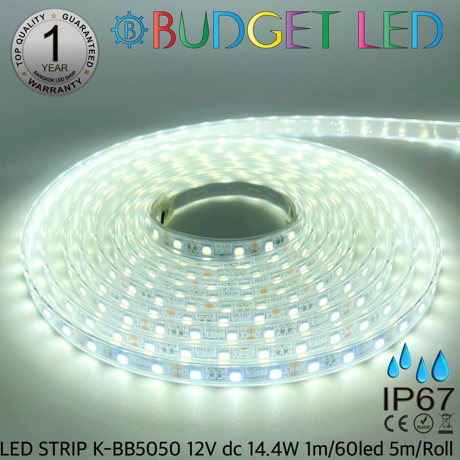 LED STRIP K-BB5050-6500K DC-12V IP67 BUDGET LED