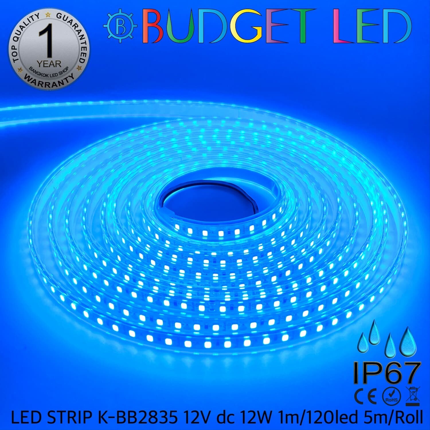 LED STRIP K-BB2835-Ice Blue DC-12V IP67 BUDGET LED