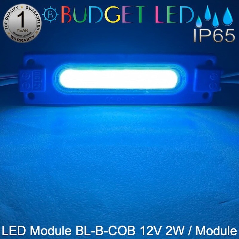 Led Module BL-B-COB 2W 12V DC