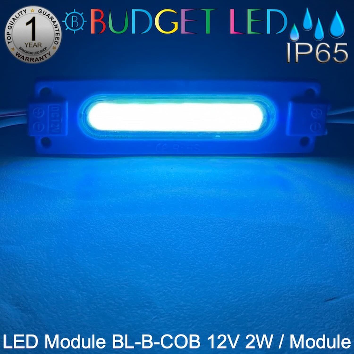 Led Module BL-B-COB 2W 12V Ice blue
