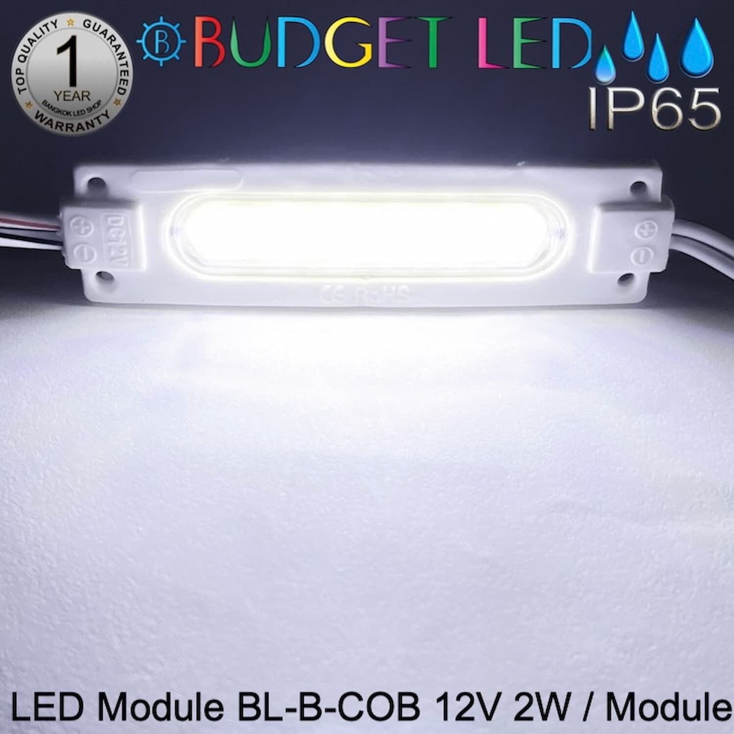 Led Module BL-B-COB 2W 12V White