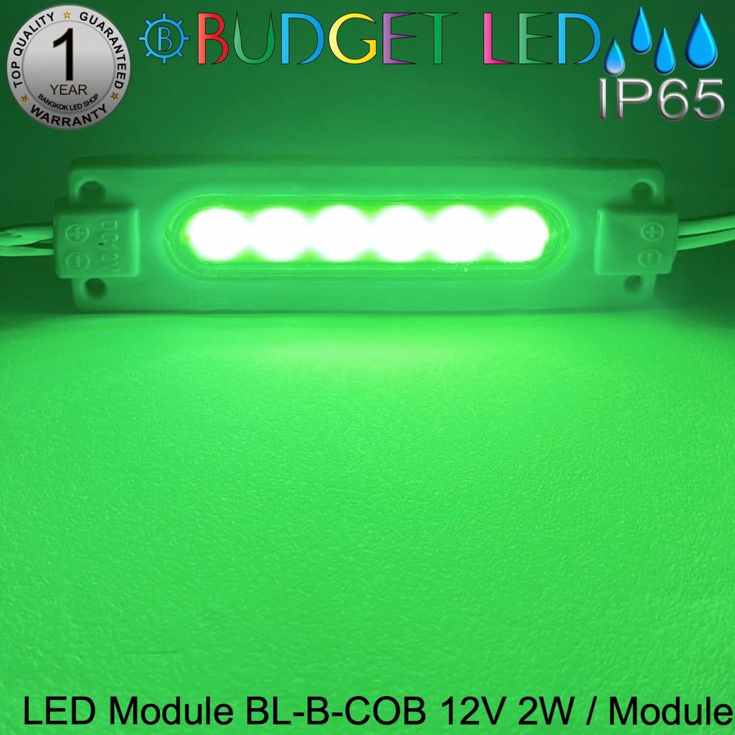 Led Module BL-B-COB 2W 12V Green