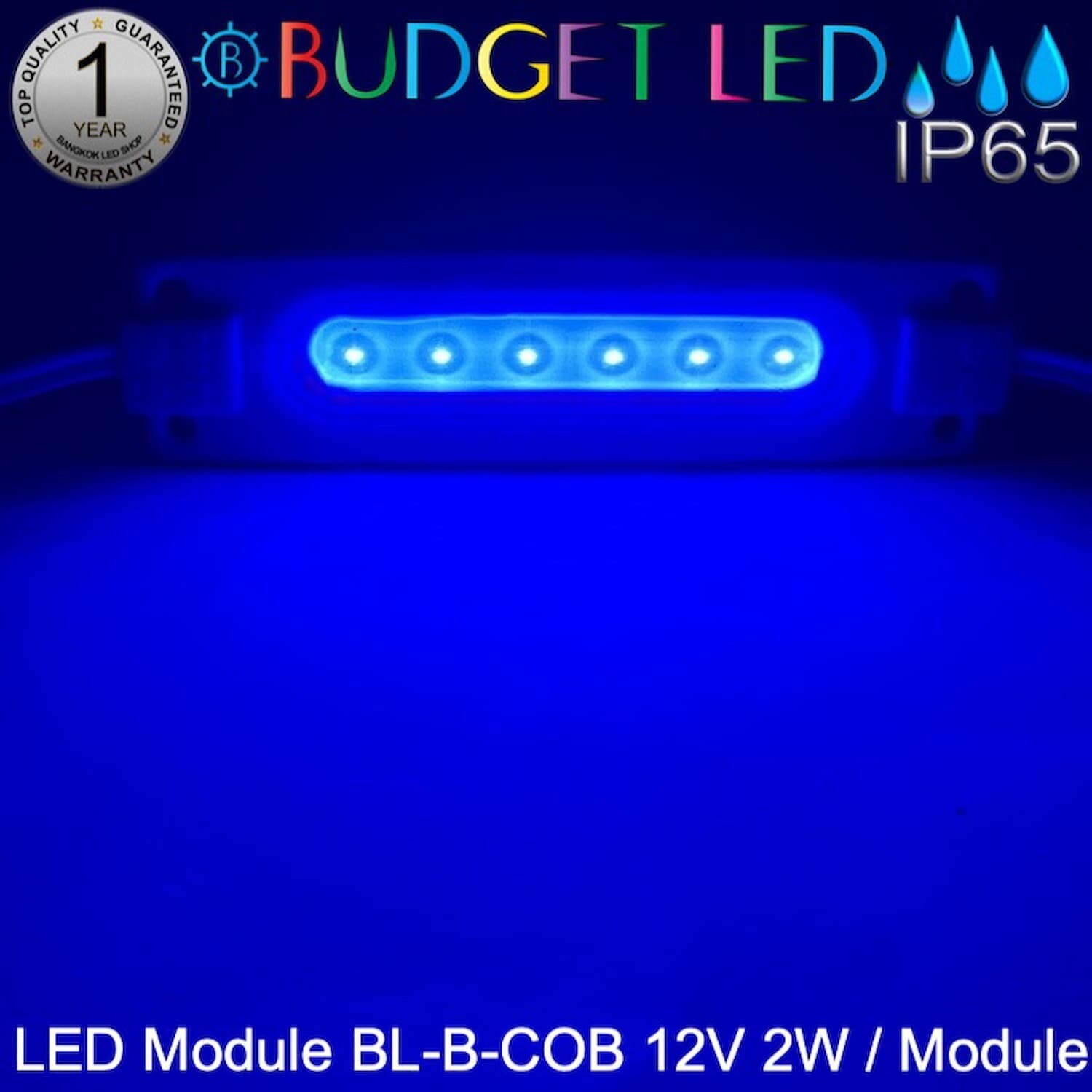 Led Module BL-B-COB 2W 12V Blue