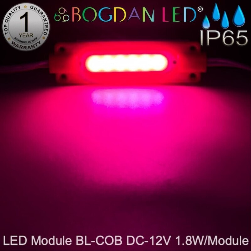 Led Module 1.8W BL-B-COB 12V DC