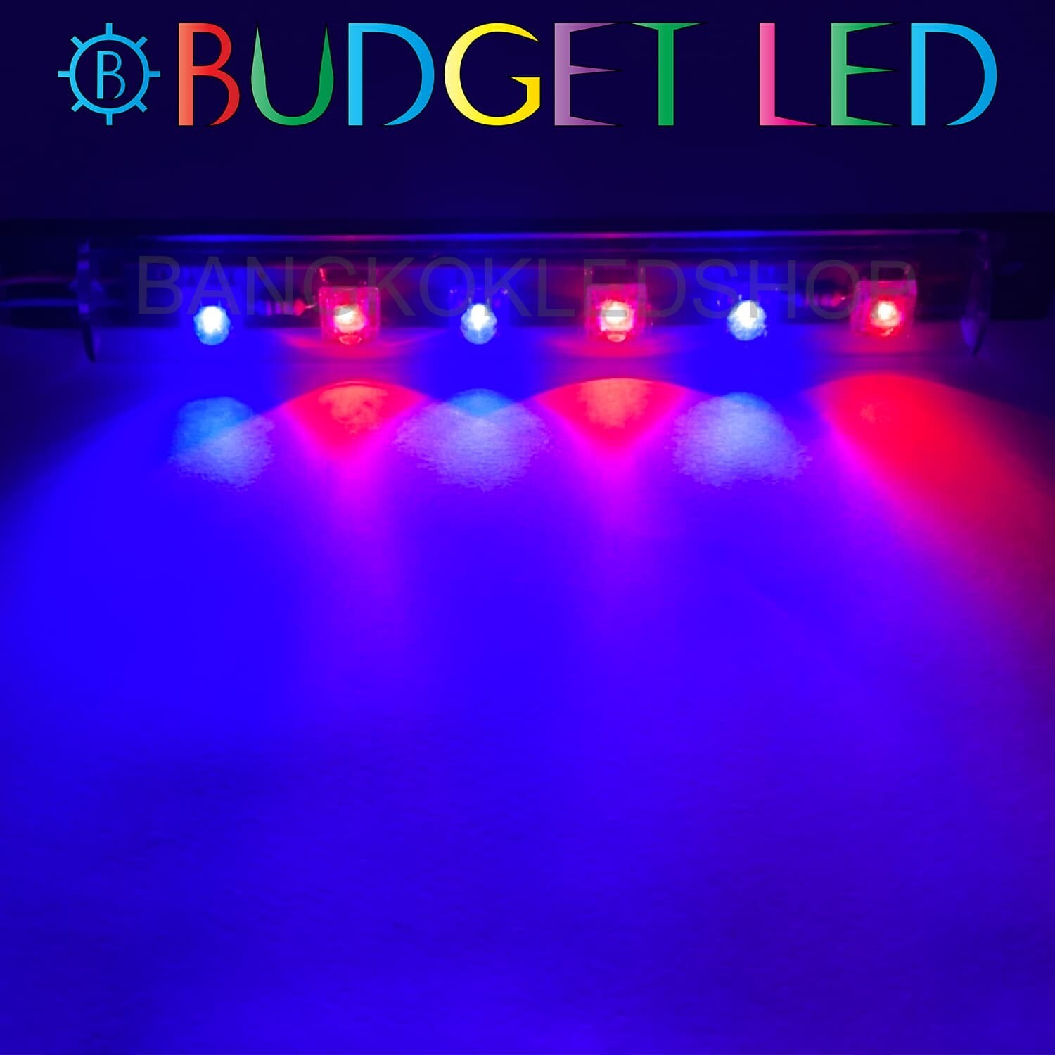 LED black key, stable light 12V Blue-Red