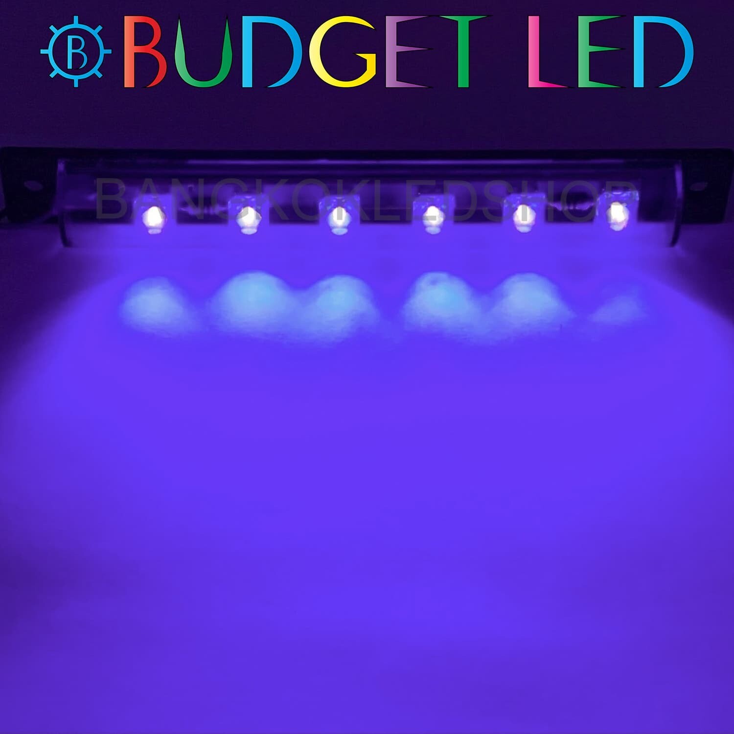 LED black key, stable light 12V  Purple