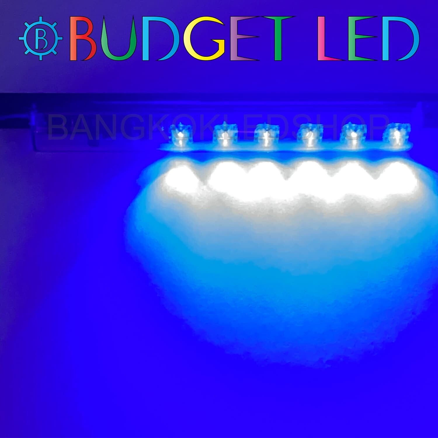 LED black key,Flashing  12V Blue