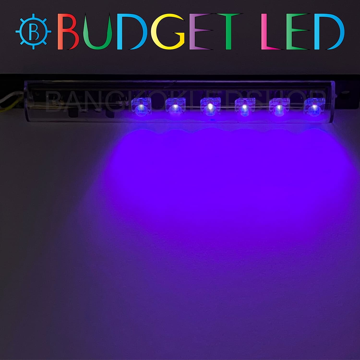 LED black key,Flashing  12V Purple