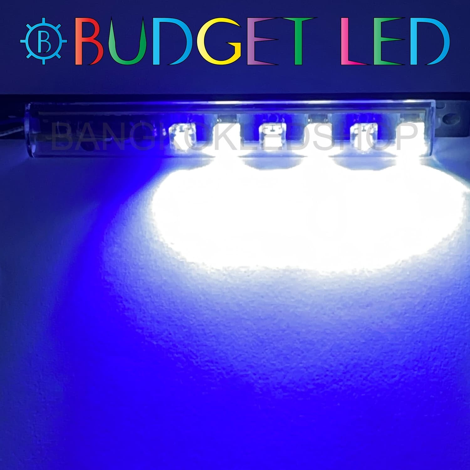 LED black key,Flashing  12V Blue - White