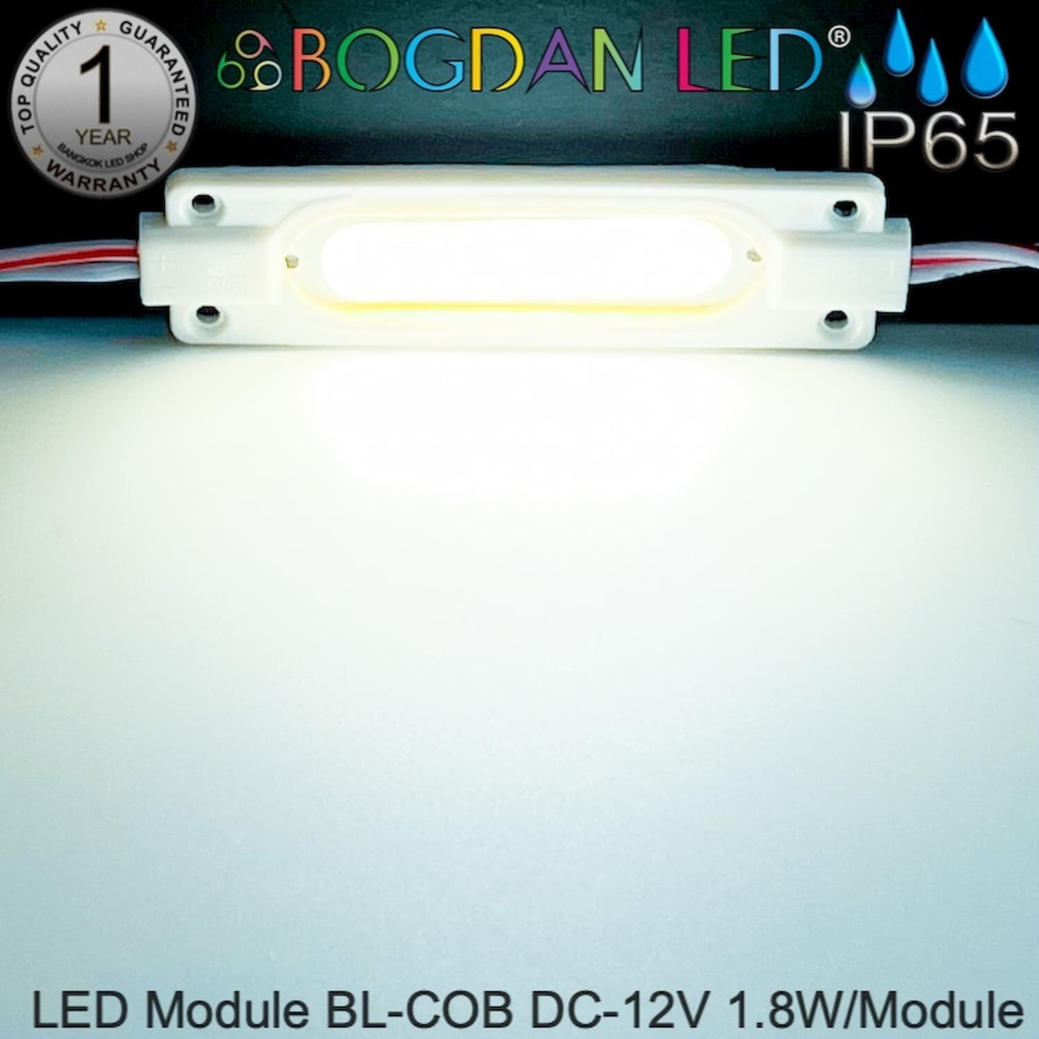 Led Module 1.8W BL-B-COB~Daylight
