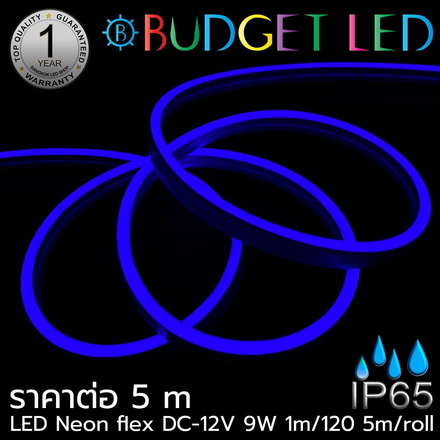 LED Neon Flex B 6x12mm 5m 12V Blue