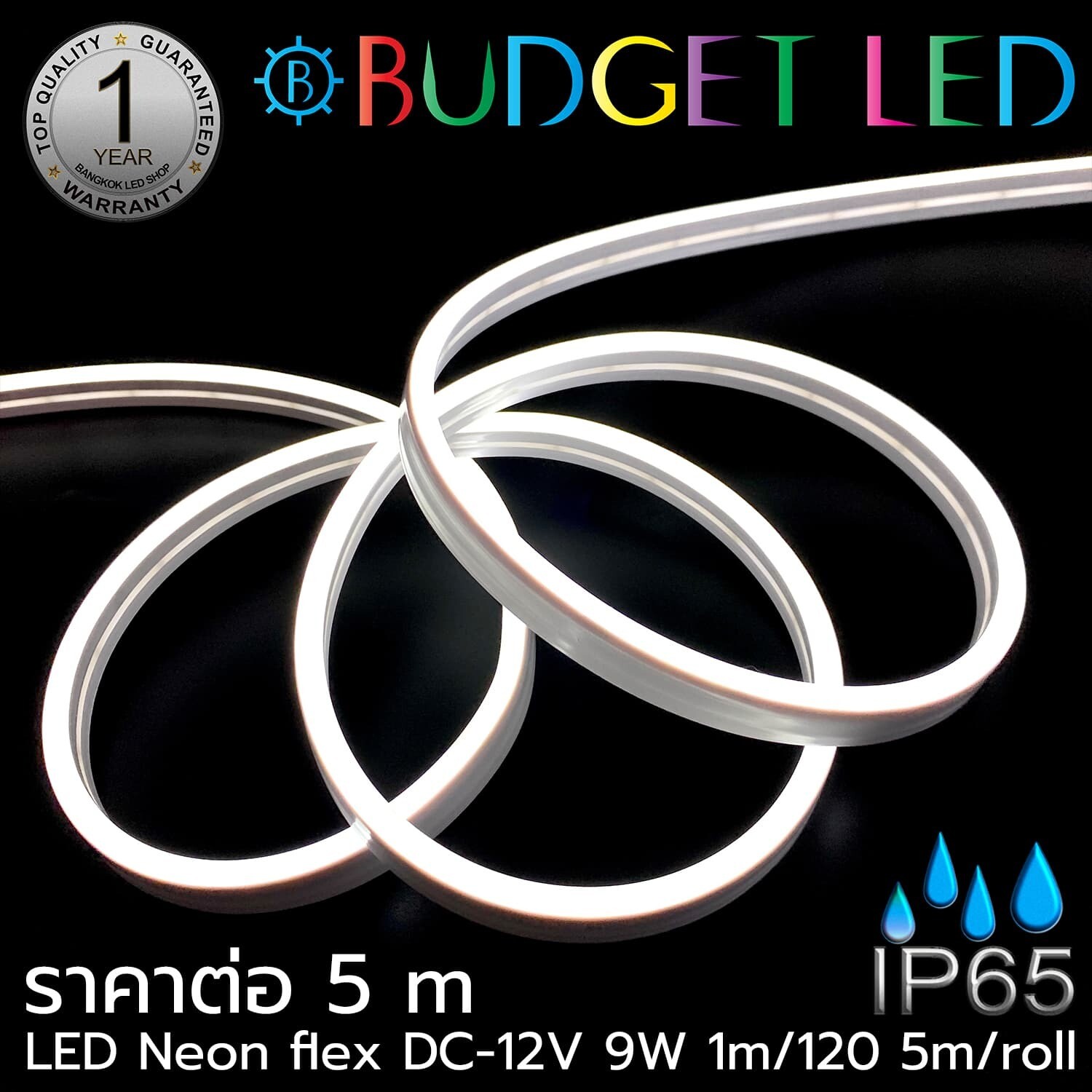 LED Neon Flex B 6x12mm 5M 12V  White