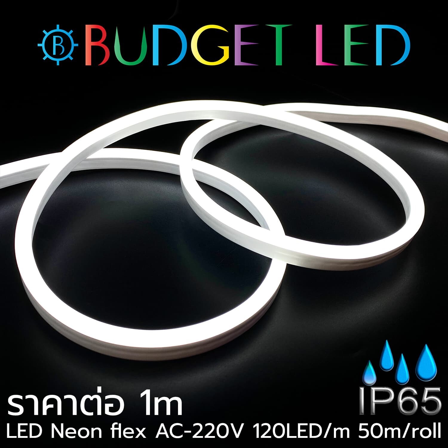 LED  Neon Flex-8x15mm Day White 220VAC