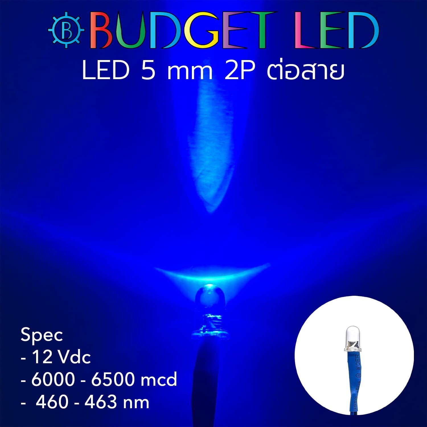 Wired 5.5 LED 12V Blue