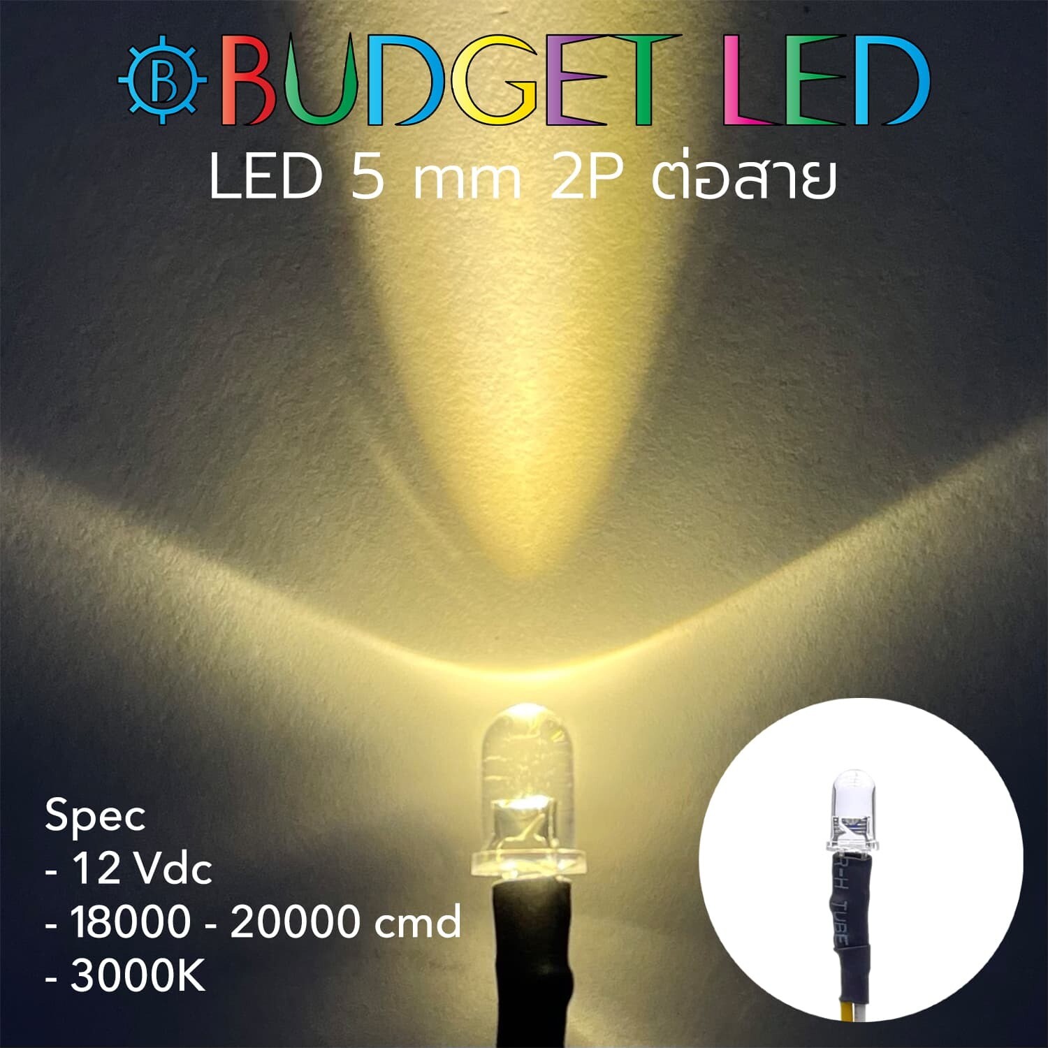 Wired 5.5 LED 12V Warm White 2700K
