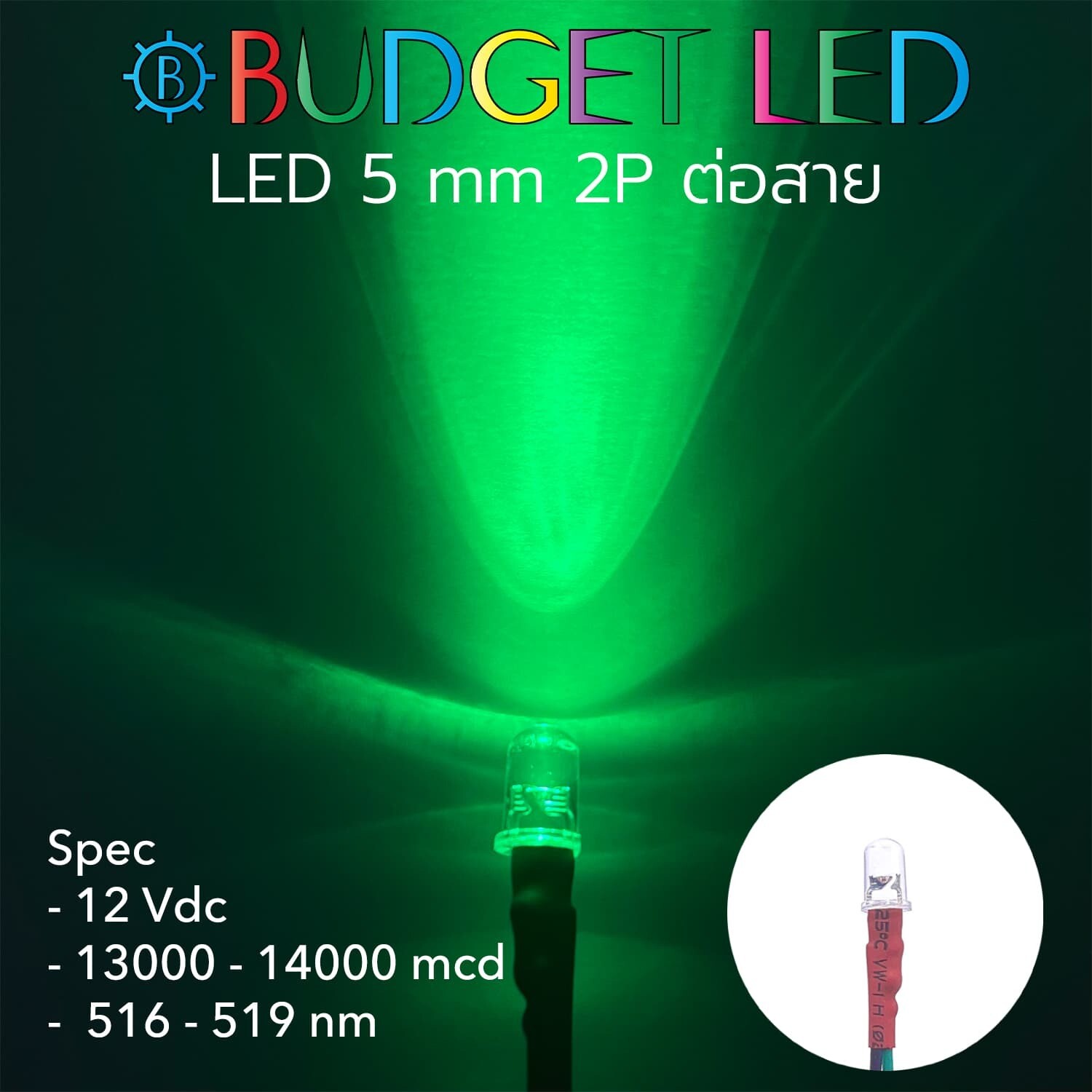 Wired 5.5 LED 12V Green