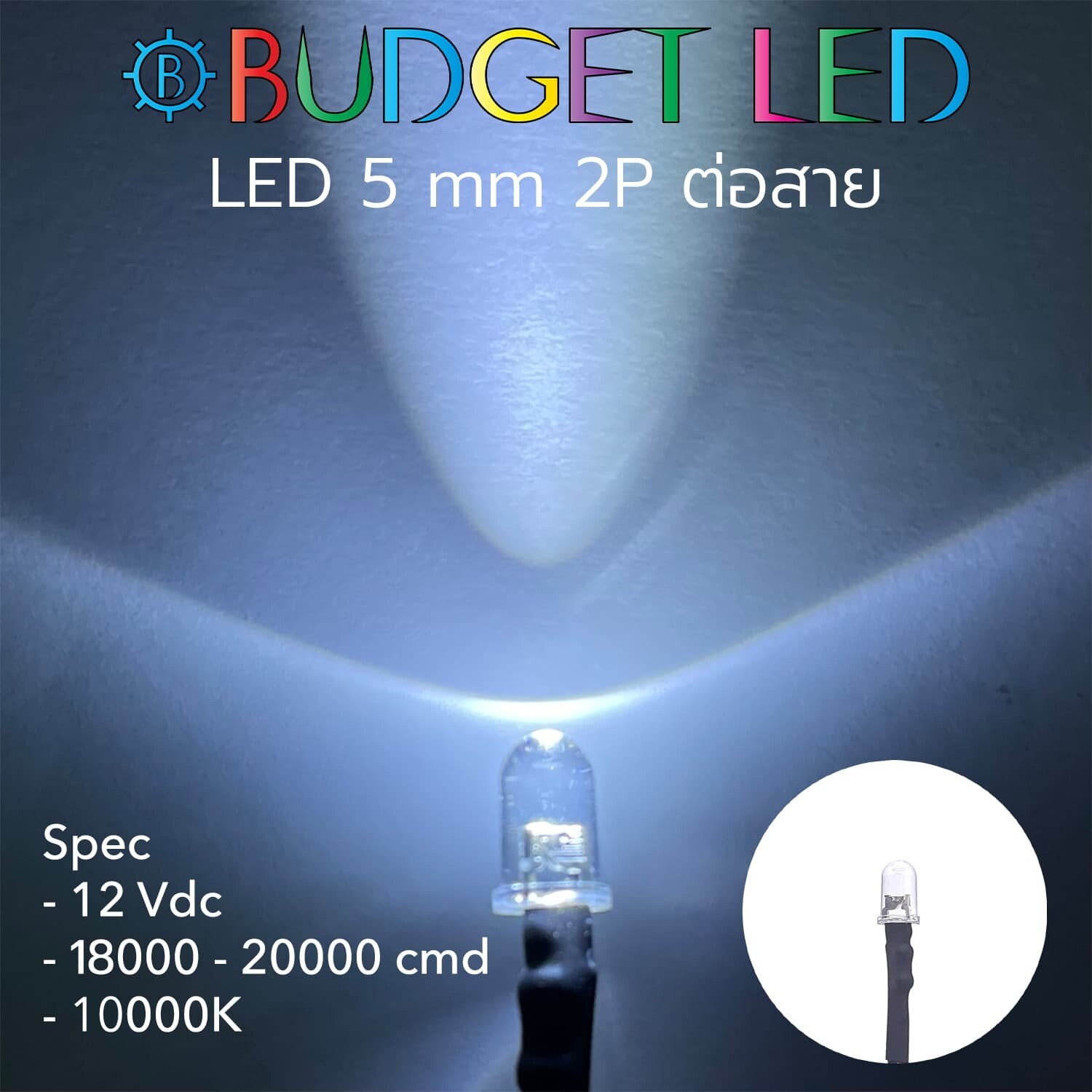 Wired 5.5 LED 12V White
