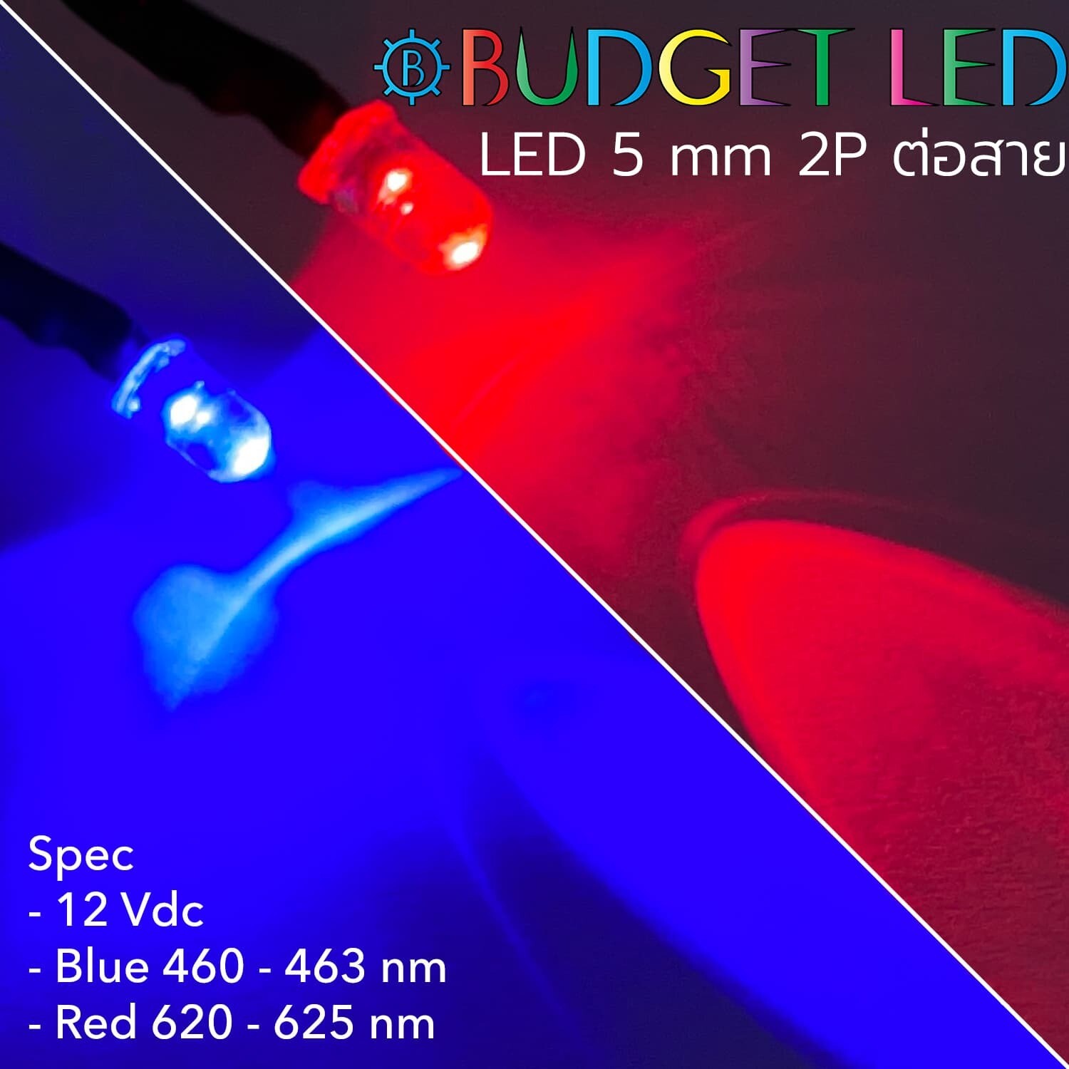 Wired 5.5 LED 12V Blue/Red