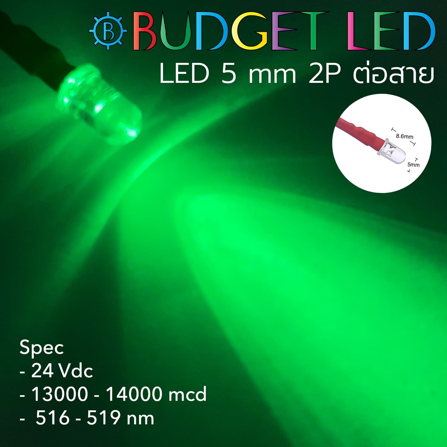 Wired 5mm LED 24V Green