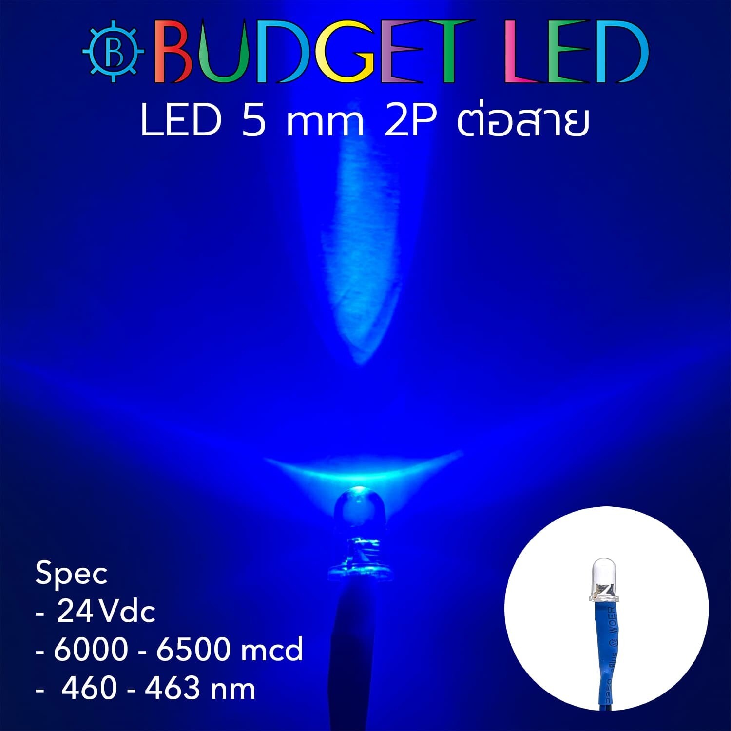 Wired 5mm LED 24V Blue