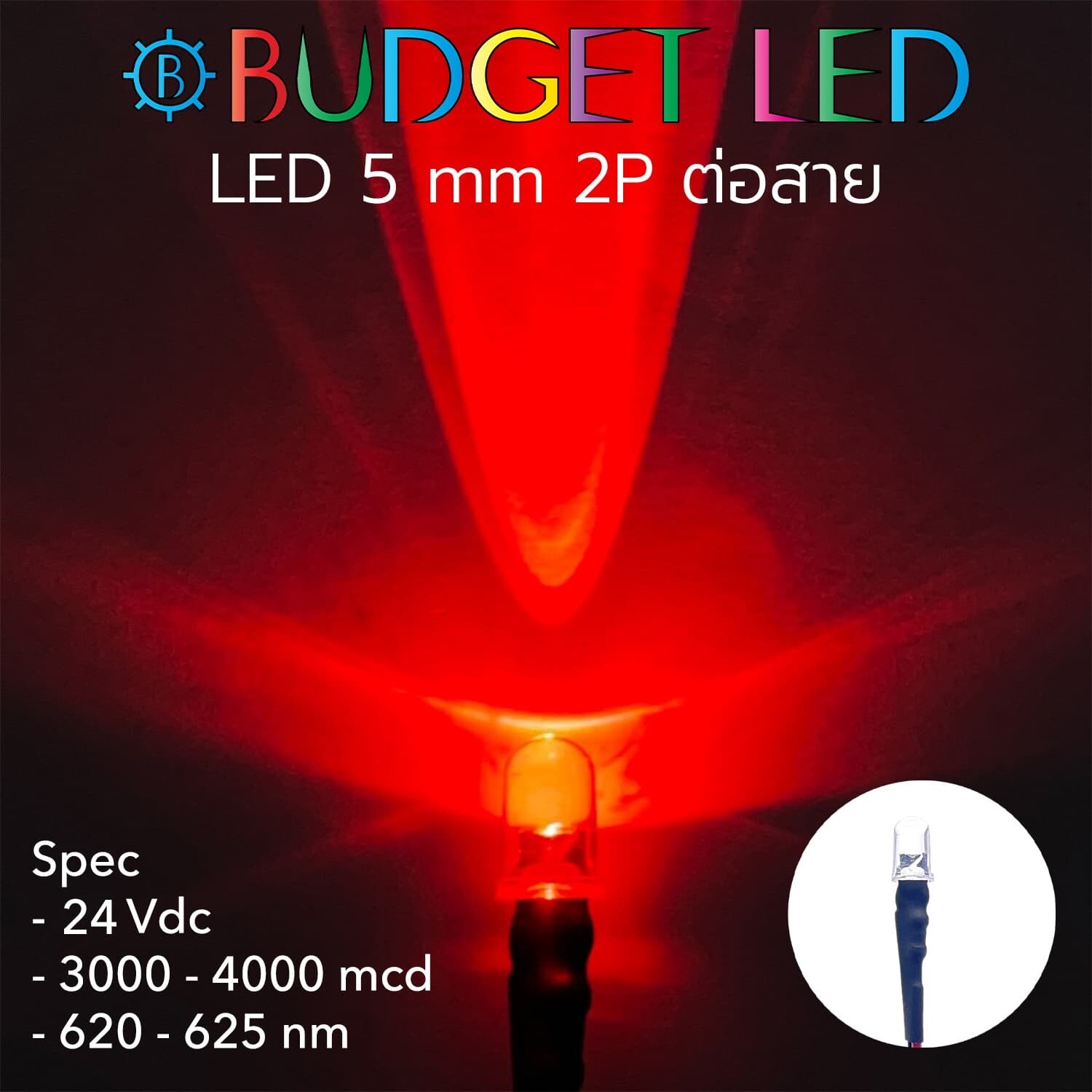 Wired 5mm LED 24V Red