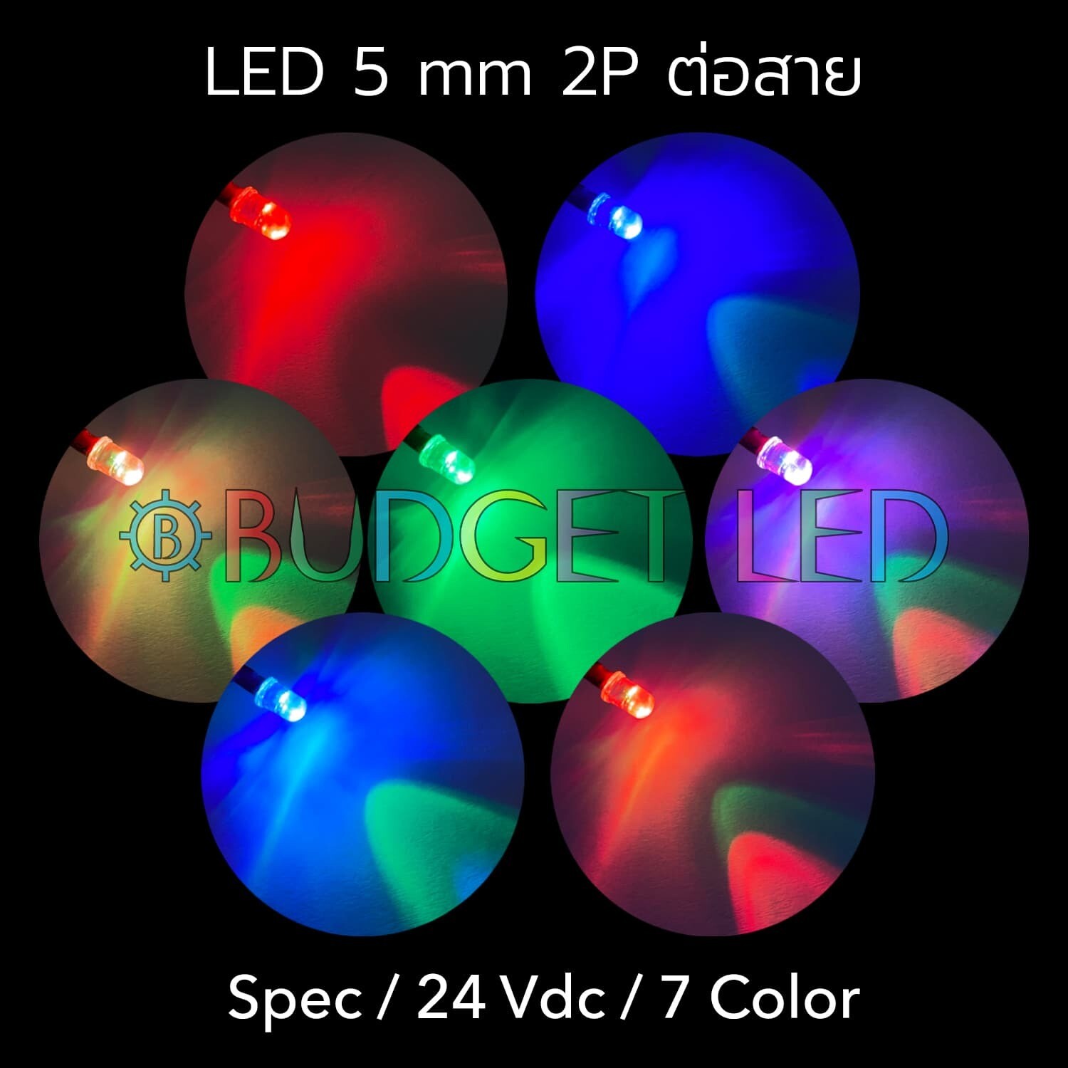 Wired 5mm LED 24V 7 Color