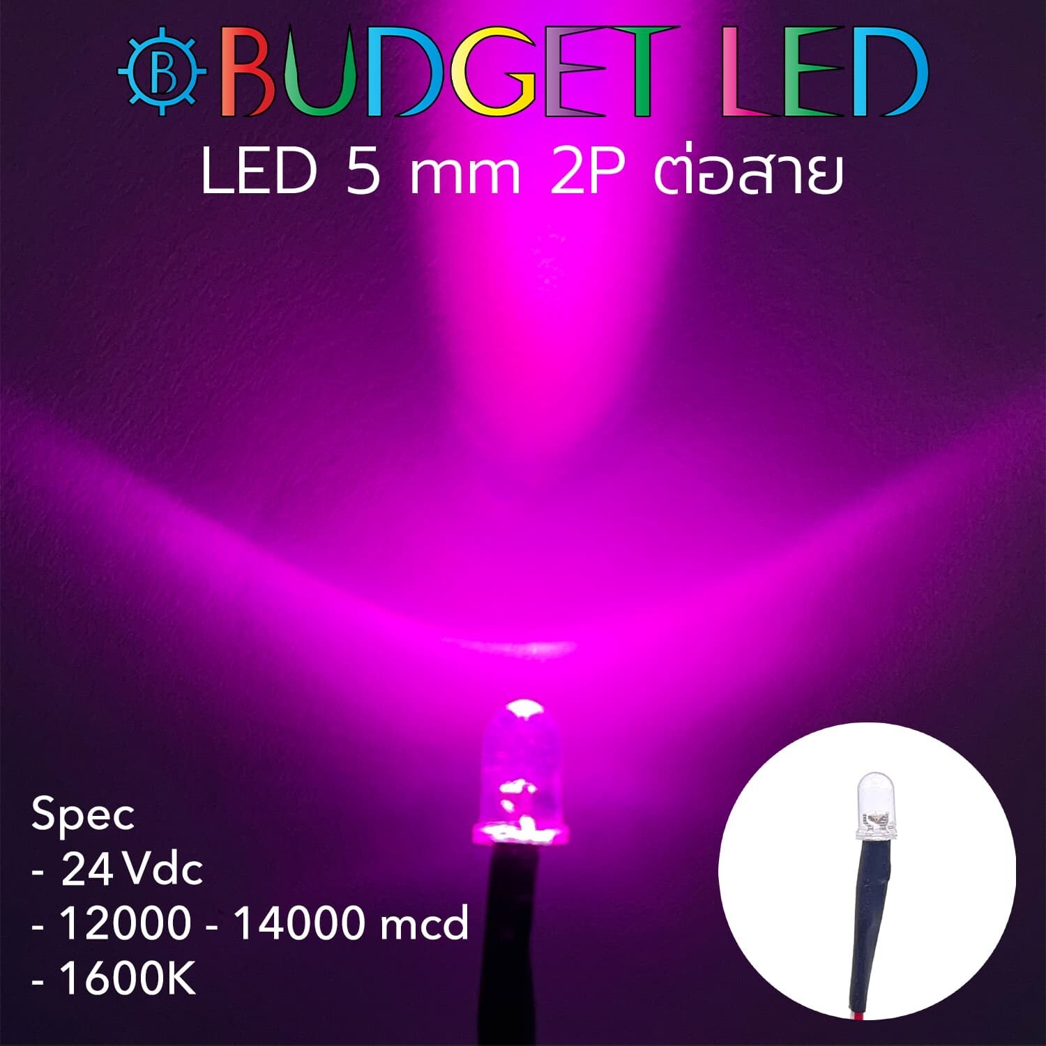 Wired 5mm LED 24V Pink