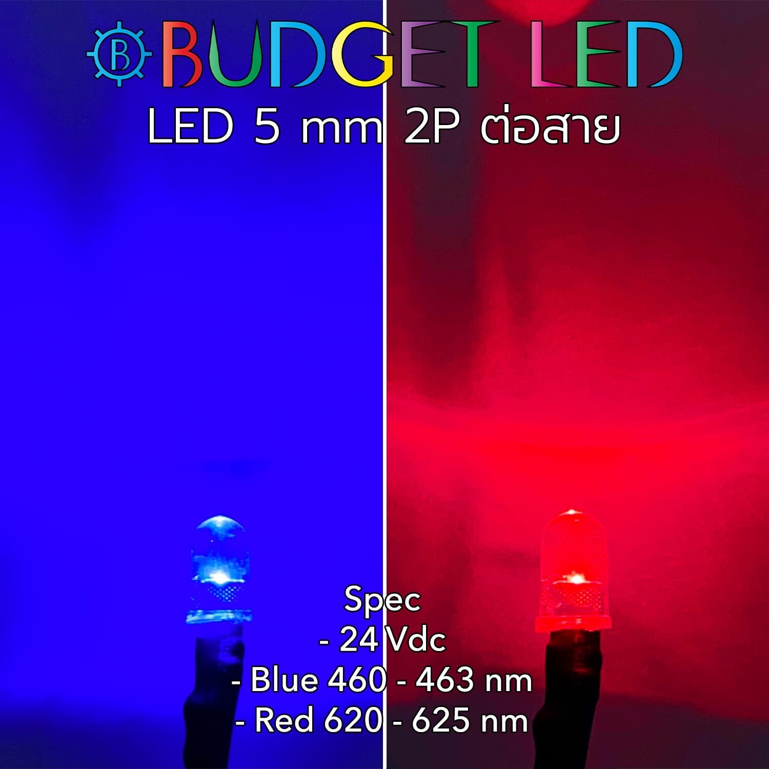Wired 5mm LED 24V Blue/Red