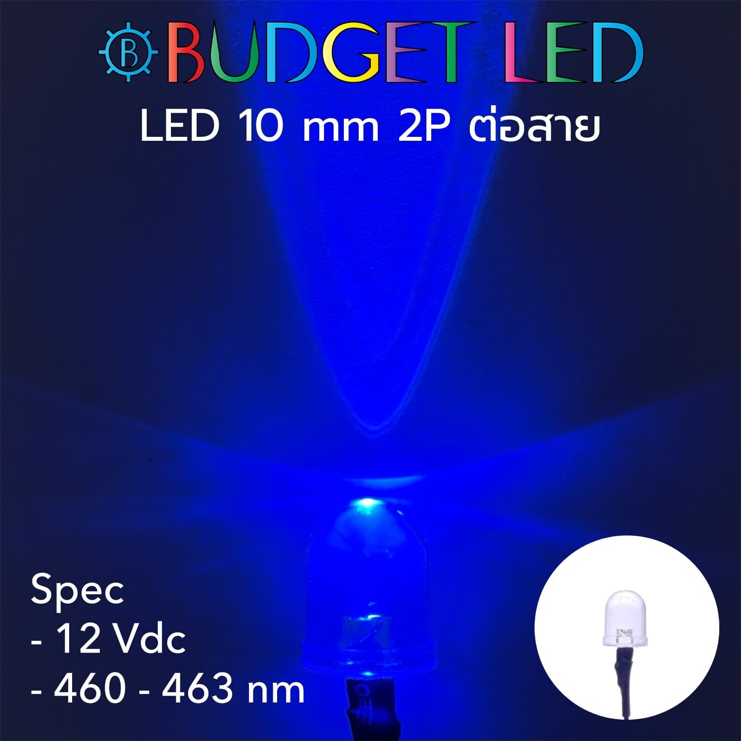 Wired 10mm LED 12V Blue