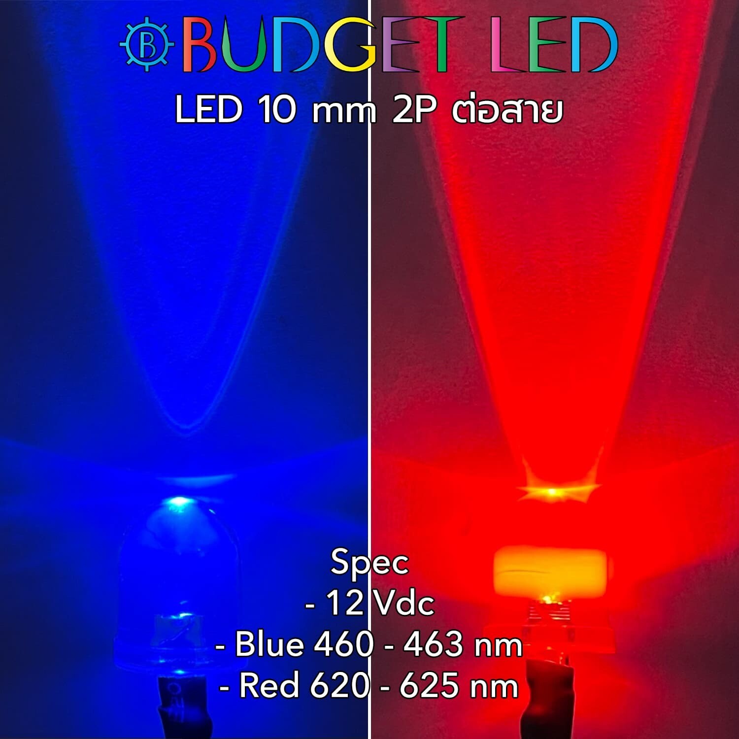 Wired 10mm LED 12V  Blue&amp;Red