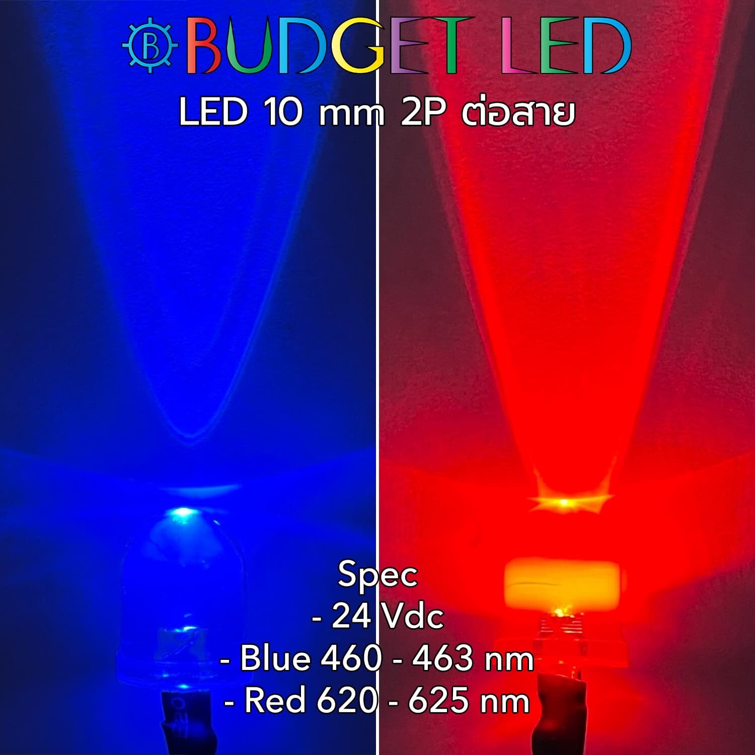Wired 10mm LED 24 V Blue&amp;Red