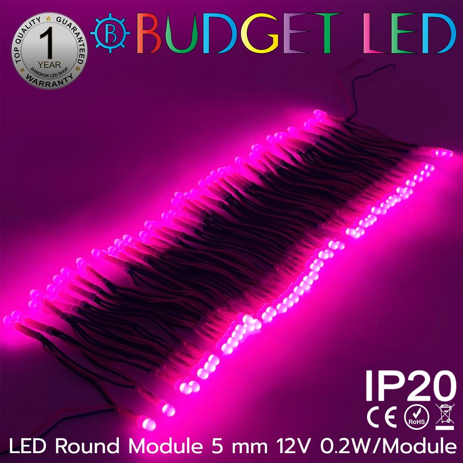 BL-F05-12V-Pink 100pcs.