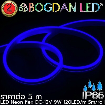 LED Neon Flex Grade A 5x10mm 5M 12V Blue