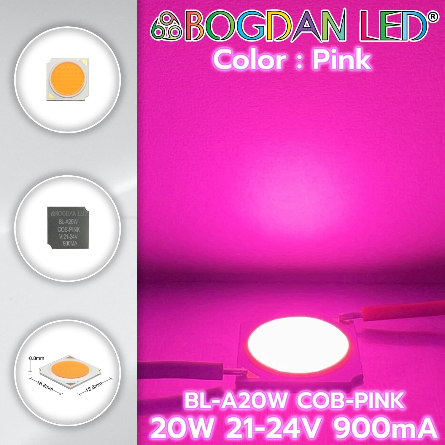 BL-A20W-COB-Pink 20W 21-24V 900mA