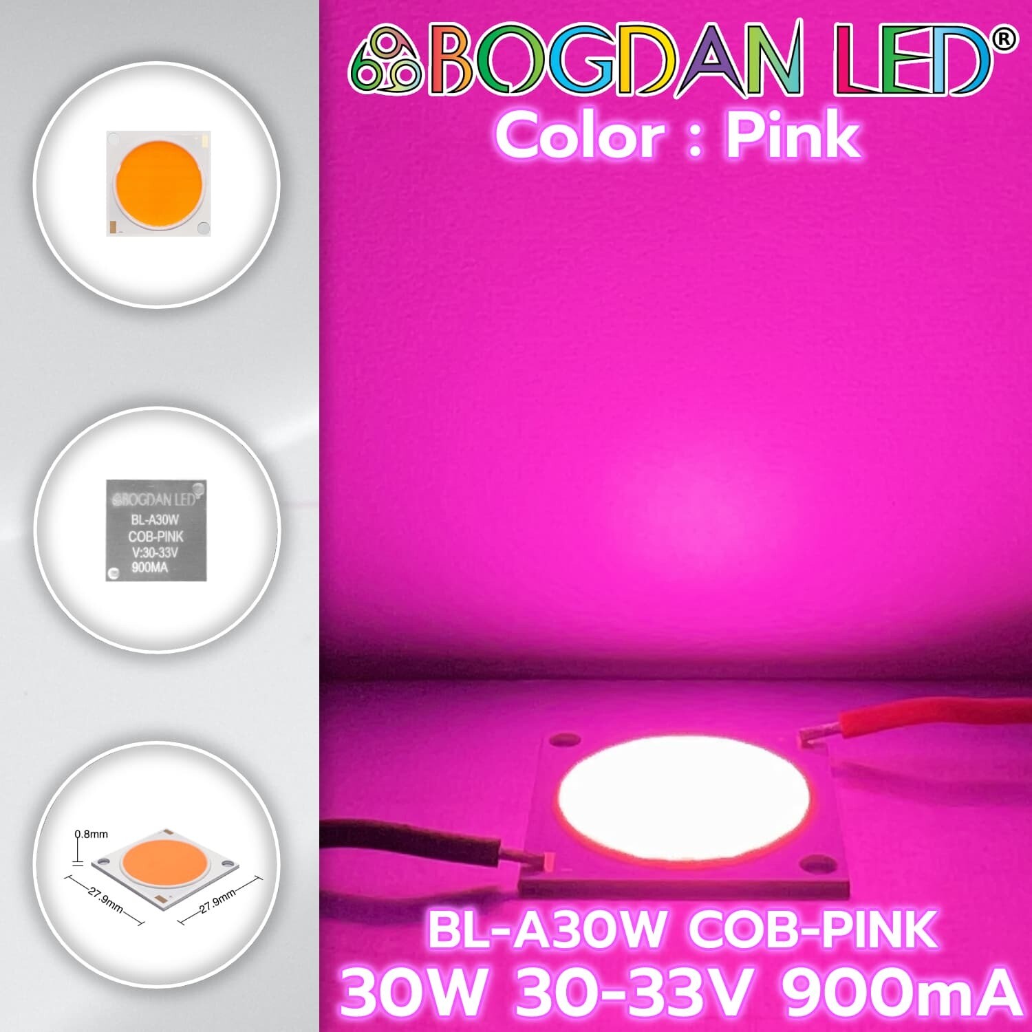 BL-A30W-COB-Pink 30W 30-33V 900mA