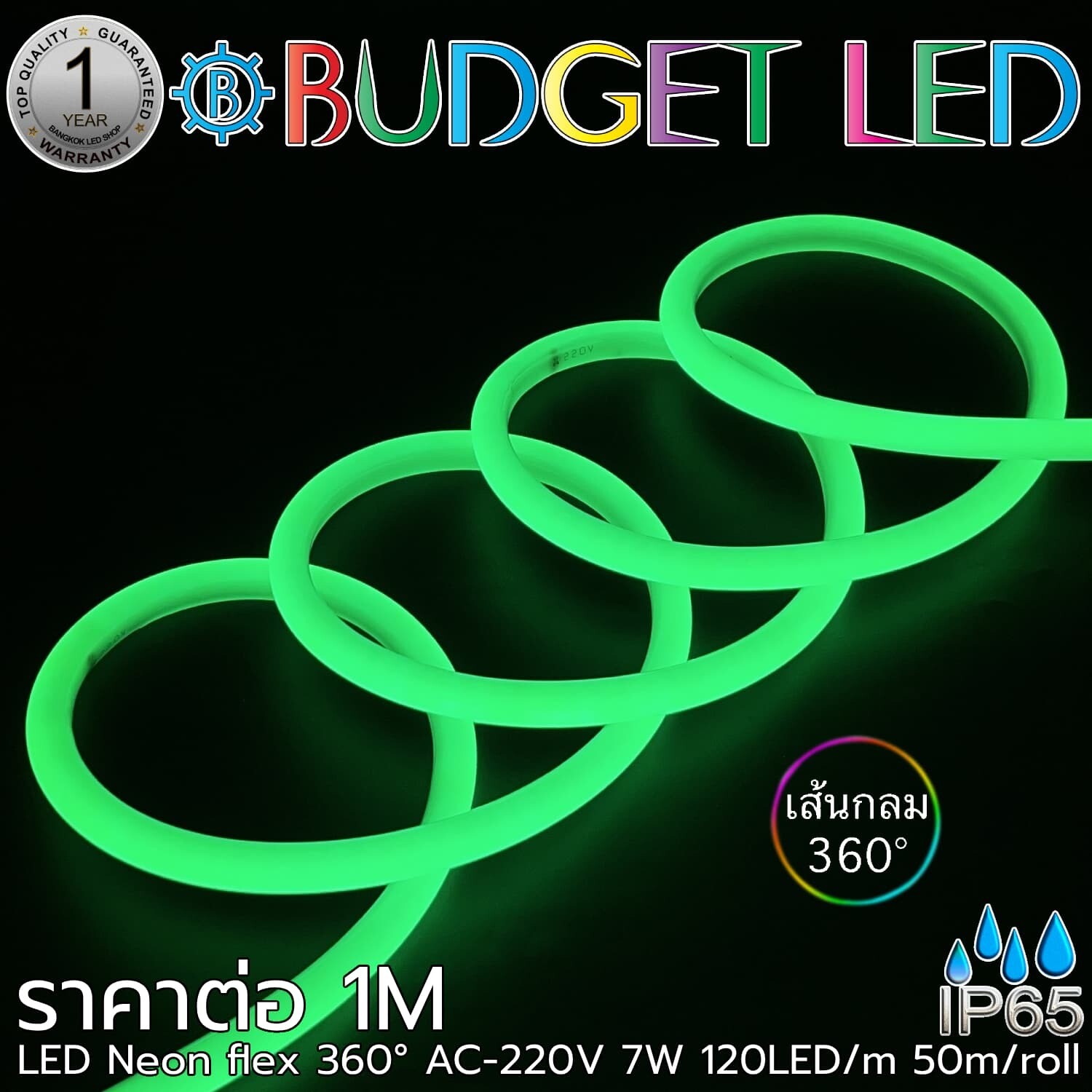 LED Neon Flex-14mm 360° 220V AC Green