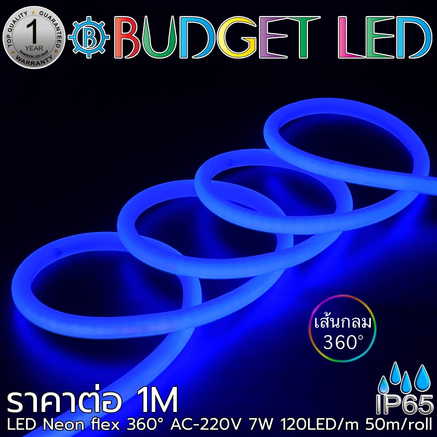 LED Neon Flex-14mm 360° 220V AC Blue