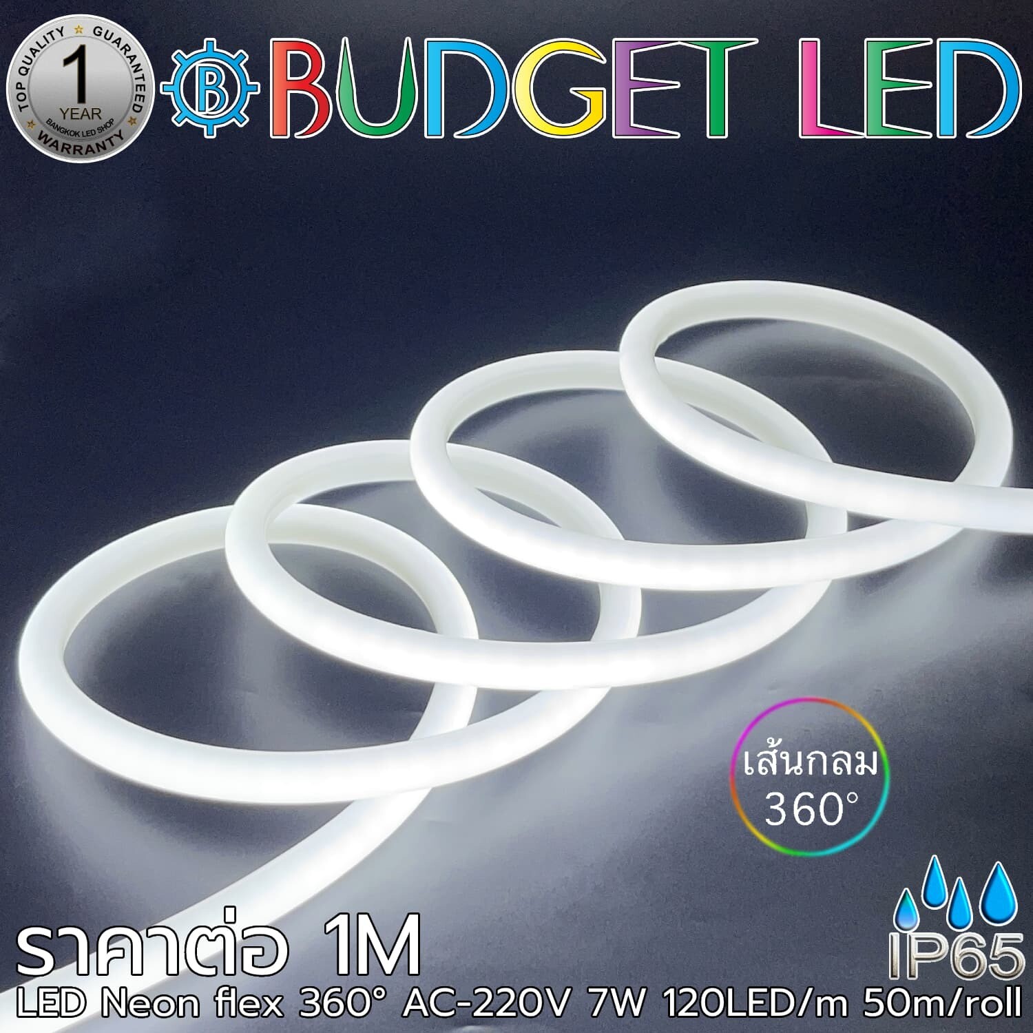 LED Neon Flex-14mm 360° 220V AC White