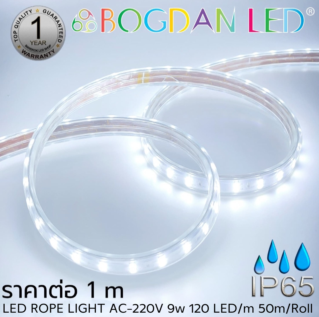 ROPE LIGHT BL-V-SSR-AA2835-120-9W-220V Cold White